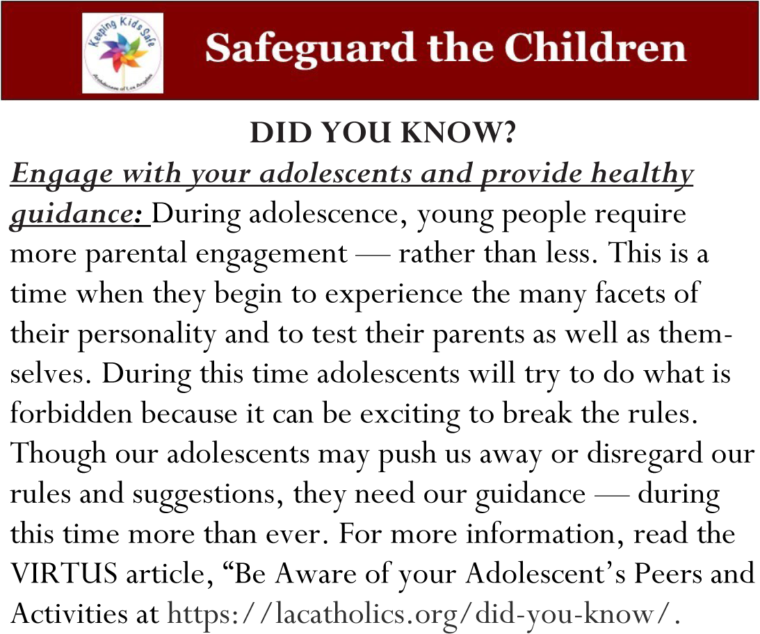 safegjard-the-children